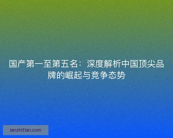国产第一至第五名：深度解析中国顶尖品牌的崛起与竞争态势
