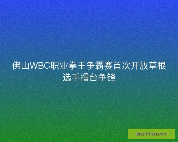 佛山WBC职业拳王争霸赛首次开放草根选手擂台争锋