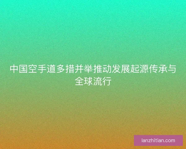 中国空手道多措并举推动发展起源传承与全球流行